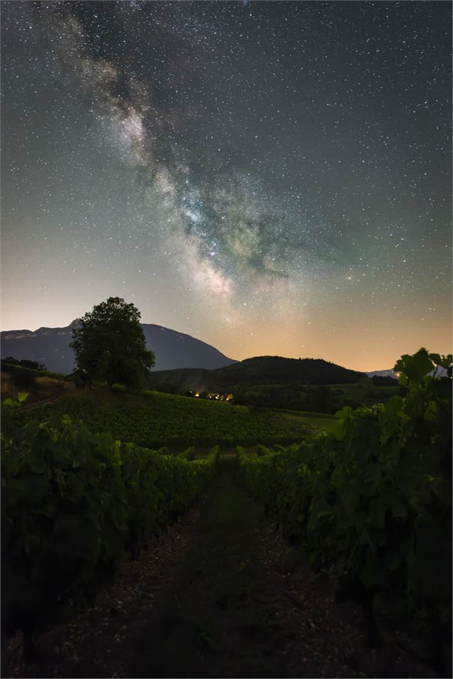 A la croisée des vins et des étoiles_ - Emmanuel Dutordoire