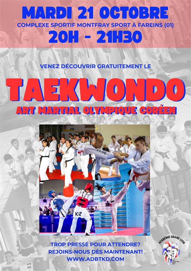 Découverte du Taekwondo