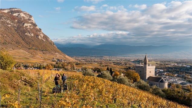 Balade en segway dans les vignobles de Chignin_Chignin