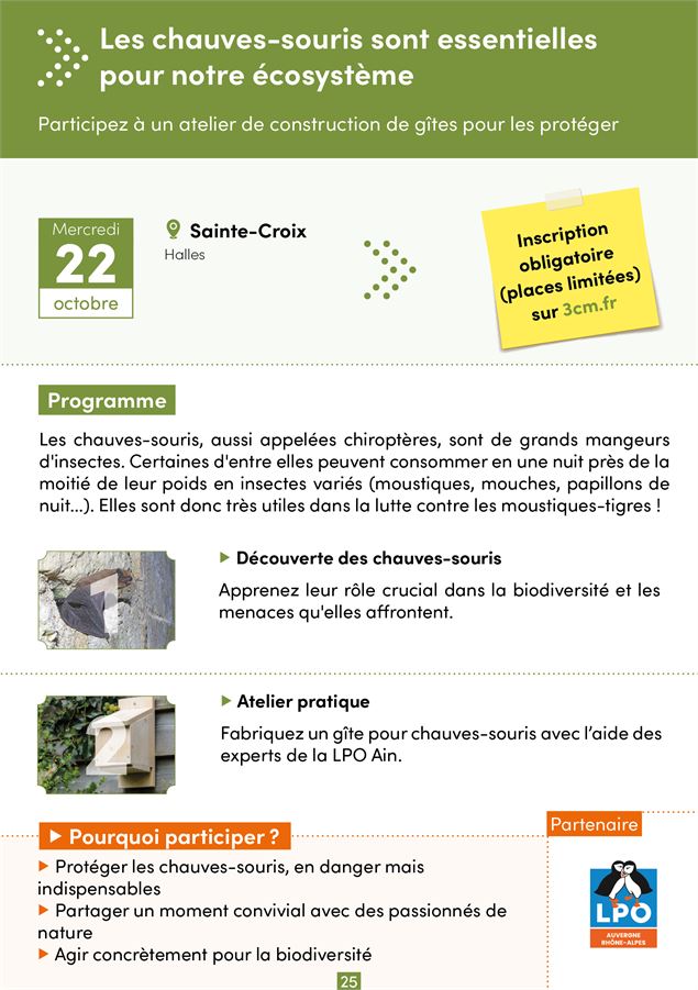 Construction d'un refuge pour chauves-souris avec la LPO Ain - 3CM