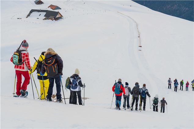 La Taimoninch_Saint François Longchamp