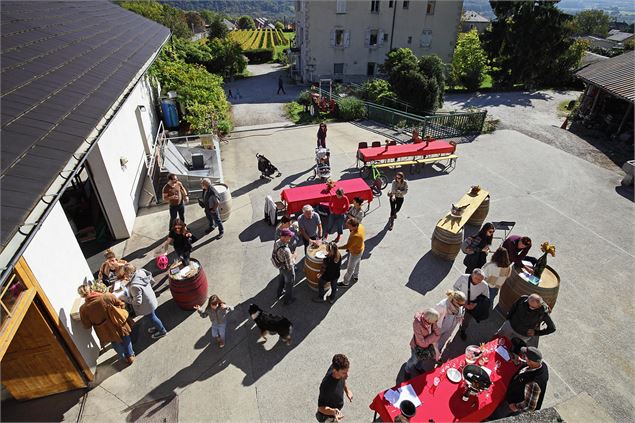Vignobles en scène : Visite et dégustation au domaine de l'Idylle