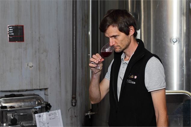Vignobles en scène : Visite et dégustation au domaine de l'Idylle