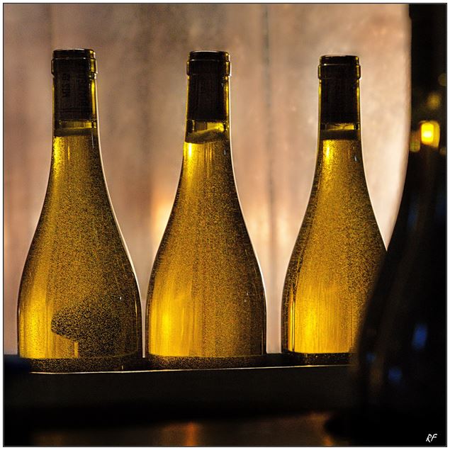 Vignobles en Scène : Animations au Domaine de l'Idylle_Cruet