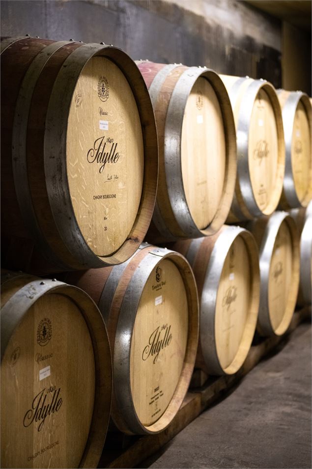 Vignobles en Scène : Animations au Domaine de l'Idylle_Cruet