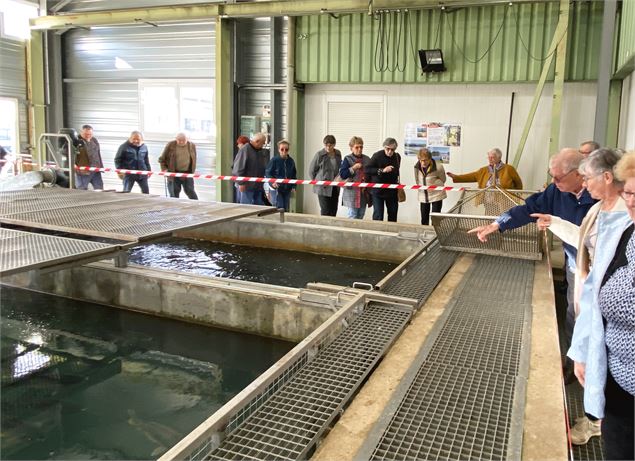 Visite des Viviers des Dombes - Le Fumet des Dombes