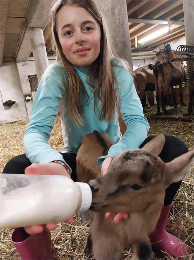 Biberonner les chevreaux - Cyril Entzmann