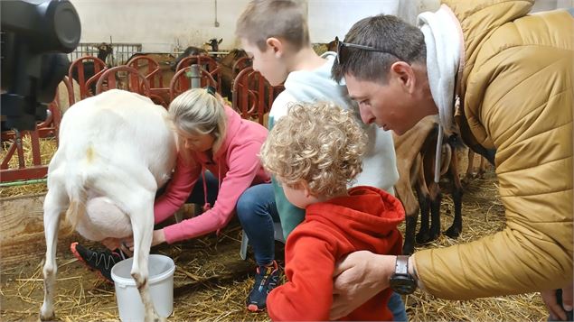 A la découverte de la traite des chèvres - Cyril Entzmann