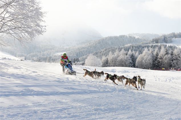 La Grande Odyssée : panorama