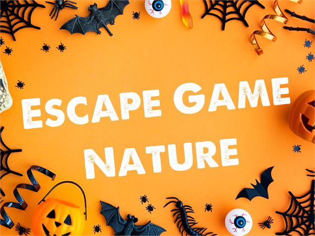 L'académie des sorciers_Morillon