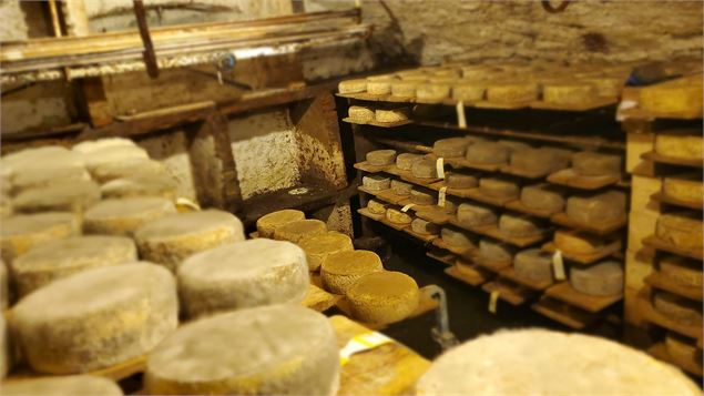 Visite de la Ferme de Ballancy - @Ballancy
