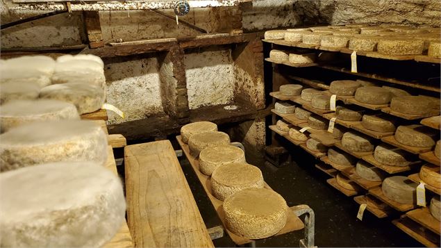 Visite de la Ferme de Ballancy - @Ballancy