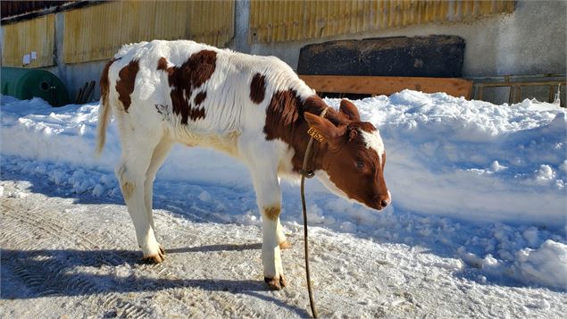 Visite de la Ferme de Ballancy - @Ballancy
