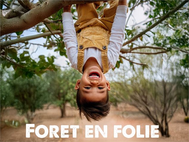 Forêt en folie_Sixt-Fer-à-Cheval