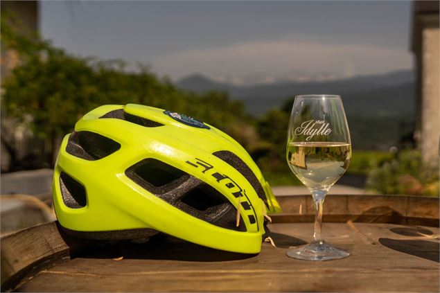 Balade à vélo dans les vignes