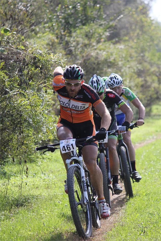 course VTT - pixabay