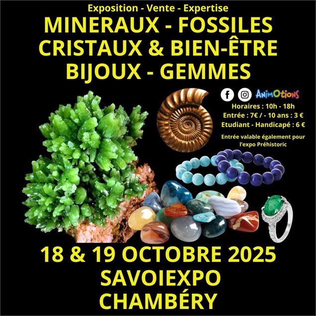 5ème Salon Minéraux Fossiles Cristaux & Bien-Être Bijoux et Gemmes + Exposition de Dinosaures_Chamb