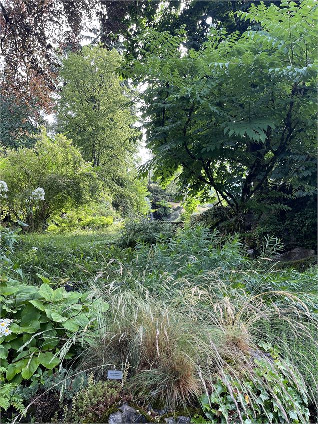 Jardin Botanique La Jaysinia - Visite Groupe - OTSamoens
