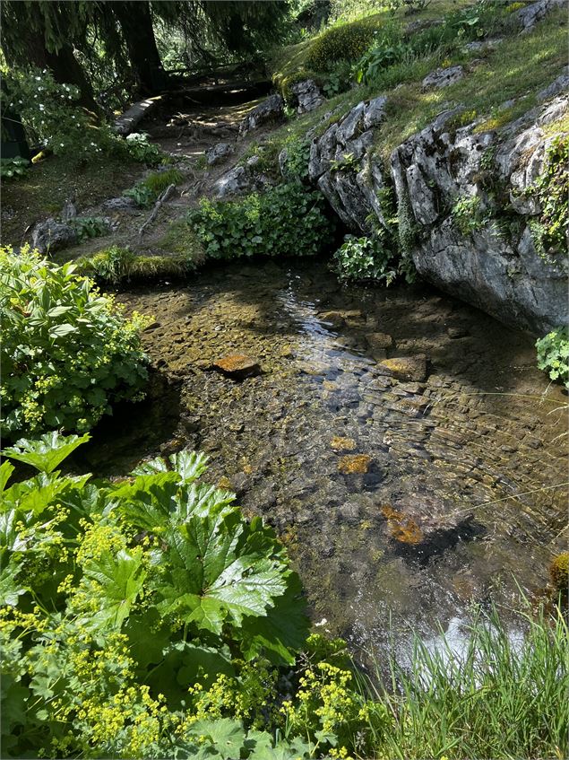 Jardin Botanique La Jaysinia - Visite Groupe - OTSamoens