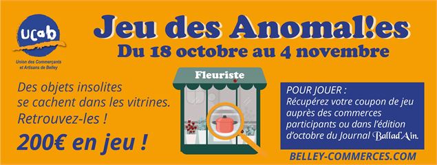 jeu anomalies vitrine 2025 - ucab