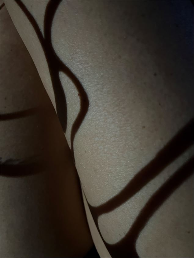 Exposition Véronique Olivier et Manuela Rossi - Véronique Olivier