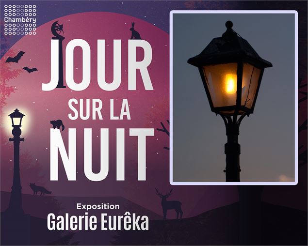 Sortie sur le terrain : Sous les lampadaires !_Chambéry - Galerie Eurêka