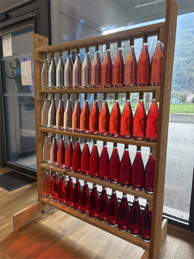 Bouteilles remplies de myrtilles - Office de Tourisme Porte de Maurienne