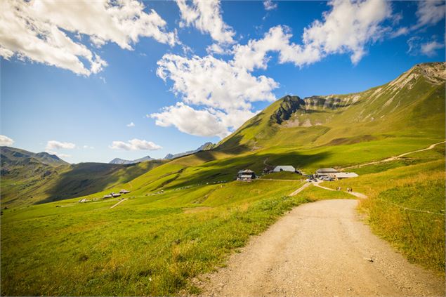 Visite guidée : col des Annes_Le Grand-Bornand - M. Dubost