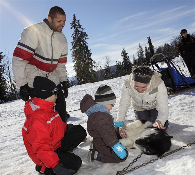 Ferme chiens de traineau - AME / C. Baudot