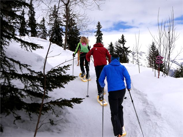 Raquettes - Raclette