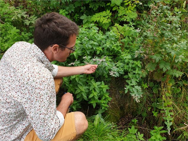 Avec la Maison de la Randonnée en Vanosie - Alpact Cœur de Tarentaise Tourisme