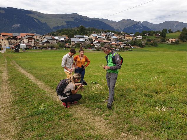- Alpact Cœur de Tarentaise Tourisme