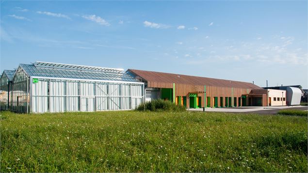 atelier faune et flore : fabrication d'un nichoir - AdobeStock