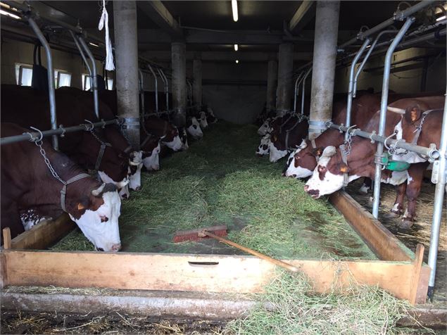 Etable - Socquet-Juglard Alexandre et Laetitia