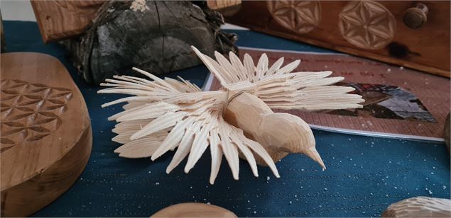 Colombe de la Boissellerie de la Fully - OT ADL - VS