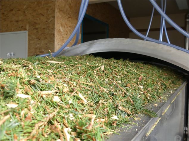 Les sens des Alpes : visite du lieu de production d'huiles essentielles