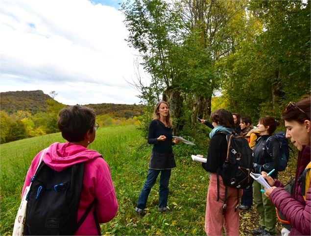Découverte des plantes sauvages proche Chambéry - Muriel Lallée