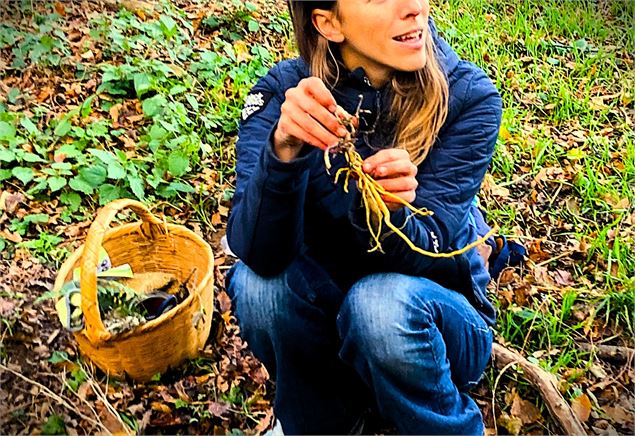 Balade cueillette des plantes sauvages avec Muriel Lallée - Muriel Lallée