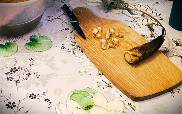 Cuisine des plantes sauvages comestibles Chambéry - Muriel Lallée