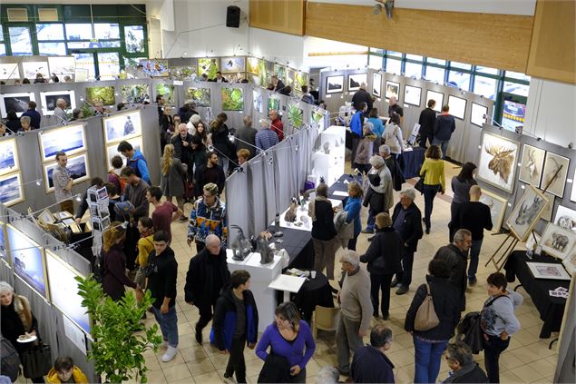 Festival Instants Sauvages 74 - Instants Sauvages 74