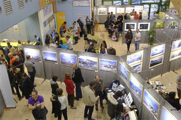 Festival Instants Sauvages 74 - Instants Sauvages 74