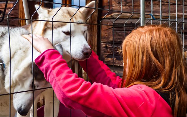 Instant câlin avec les chiens - Les Granges de Heidi