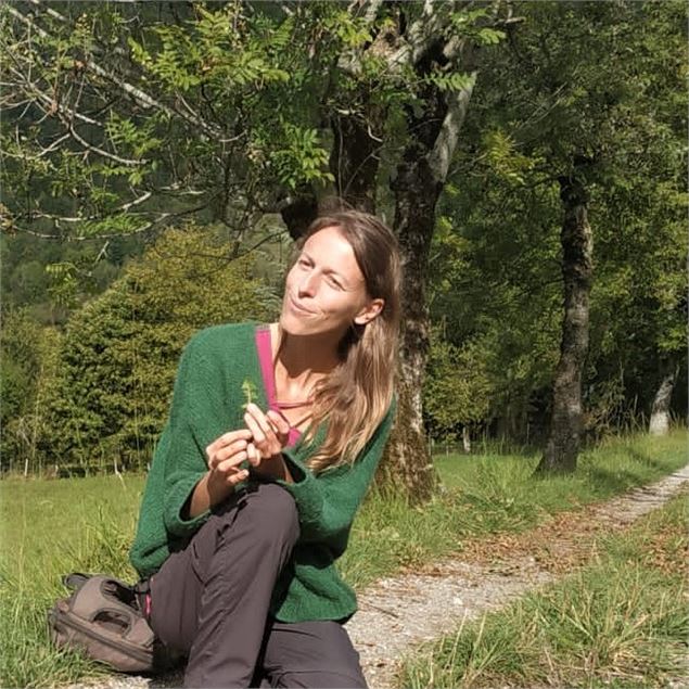Balade cueillette des plantes sauvages en Savoie - Muriel Lallée