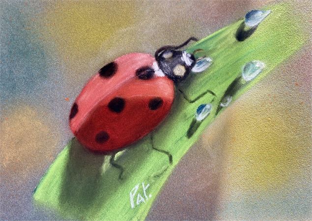 Exposition peinture_Trévoux - Mme Patricia BOURRIN