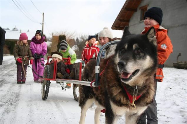 Chiens de traîneaux, Père Noël et Papillotes_Vailly - Catherine Mermin