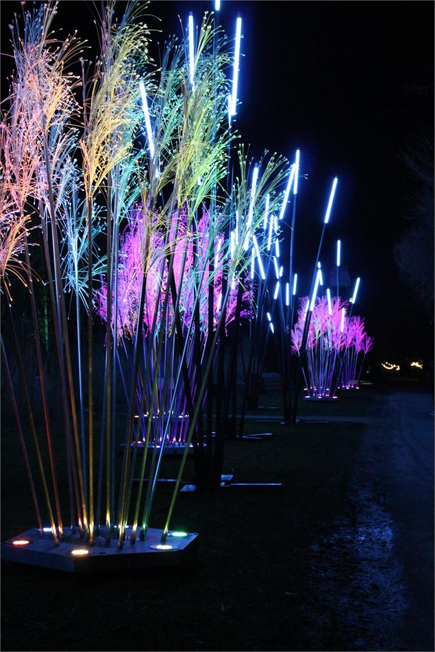 Les Nuits du Parc_Villars-les-Dombes - Claire Curt