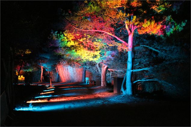 Les Nuits du Parc_Villars-les-Dombes - Claire Curt