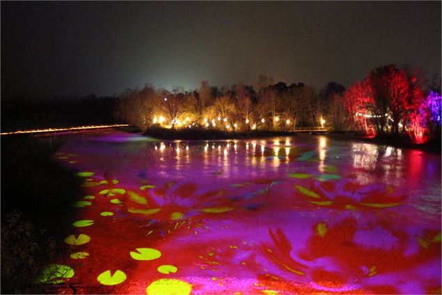 Les Nuits du Parc_Villars-les-Dombes - Claire Curt