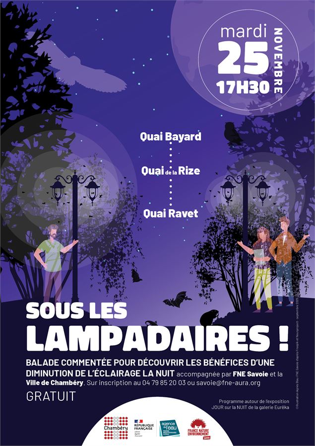 Sortie terrain : sous les lampadaires ! FNE Savoie - deceptionpics Pixabay