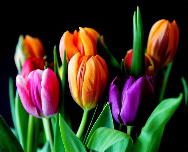 Vente de fleurs
